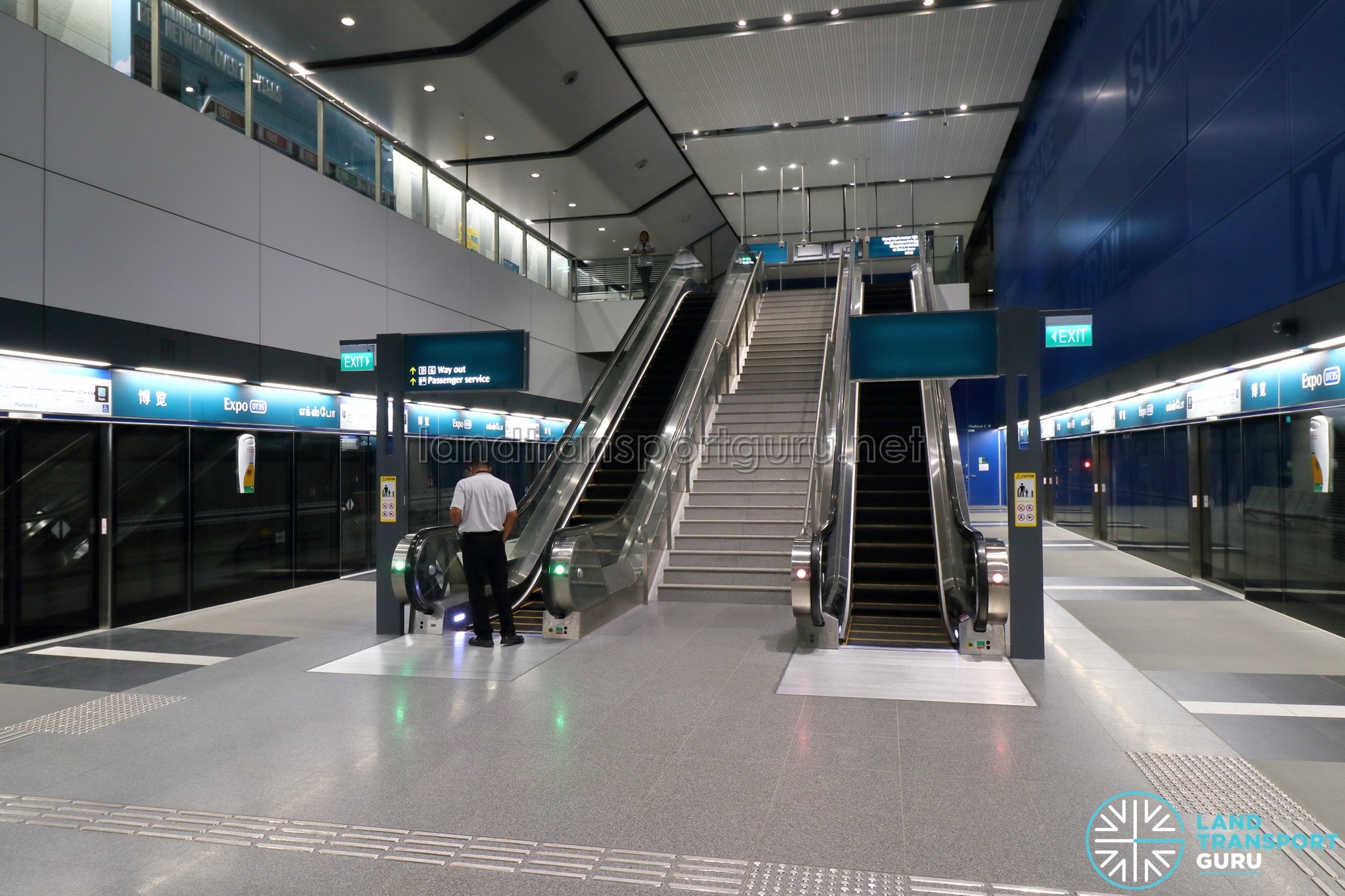 Expo MRT Station DTL Platform Level Land Transport Guru