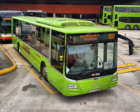 SG1762R on Svc 960 - Our SG Bus Story