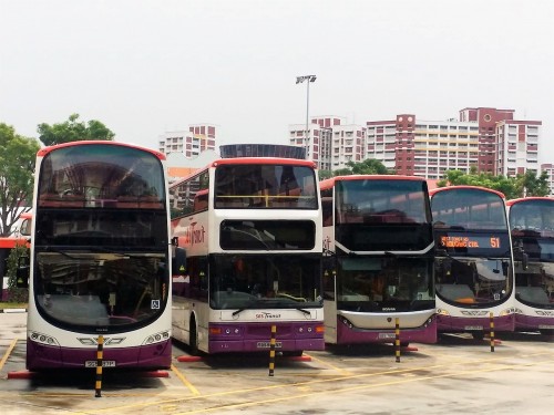 Different models of SBS double deckers buses