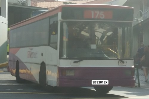175 SBS2818X (SBS Transit)