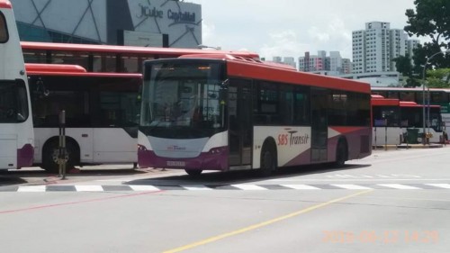 SBS8033D (SBS Transit)