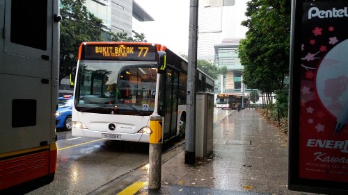 When 77 was newly transferred to Tower Transit and used SBS spec buses