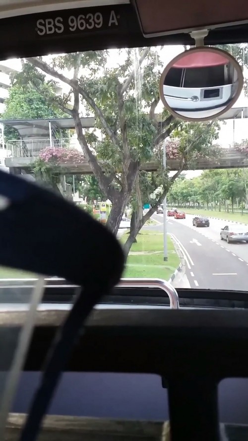Screenshot showing the rego and mirror that old double deck buses used