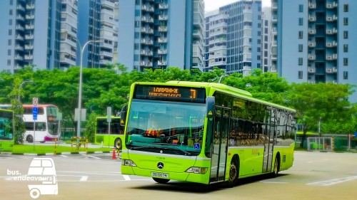 🚍SG1007M, a Mercedes-Benz 0530 Citaro C1F 
🔢Service 3 under Go Ahead's Loyang Package🔴🟡
🖼️Adobe Photoshop Express 
📜Cc by @bus.endeavours @6298gsnaps
📷Huawei P20 Pro
📱Follow me on 
Instagram/TikTok: @bus.endeavours
YouTube: 6298G

All rights reserved.