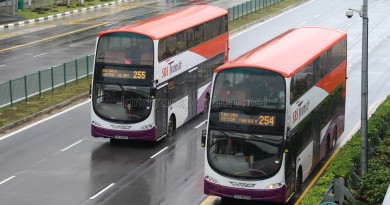 Volvo B9TL Wright - Bus Services 254 and 255