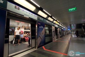 Newton MRT Station - DTL Platform B