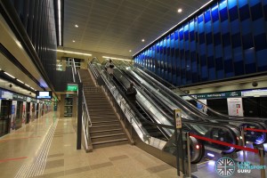Bukit Panjang MRT Station - DTL Platform level