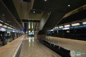 Botanic Gardens MRT Station - DTL Platform level