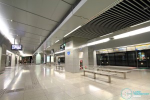 Esplanade MRT Station - Platform level