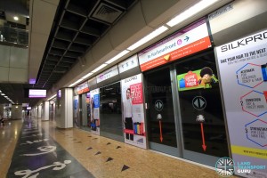Chinatown MRT Station - NEL Platform A