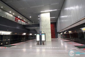 Caldecott MRT Station - Platform level