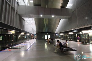 Kent Ridge MRT Station - Platform level
