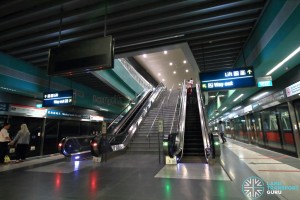 Marina South Pier MRT Station - Platform level