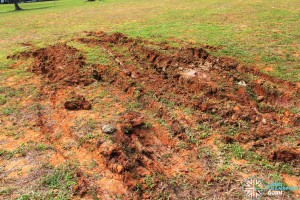 Bendy bus stuck in field: Leftover tracks in the soil
