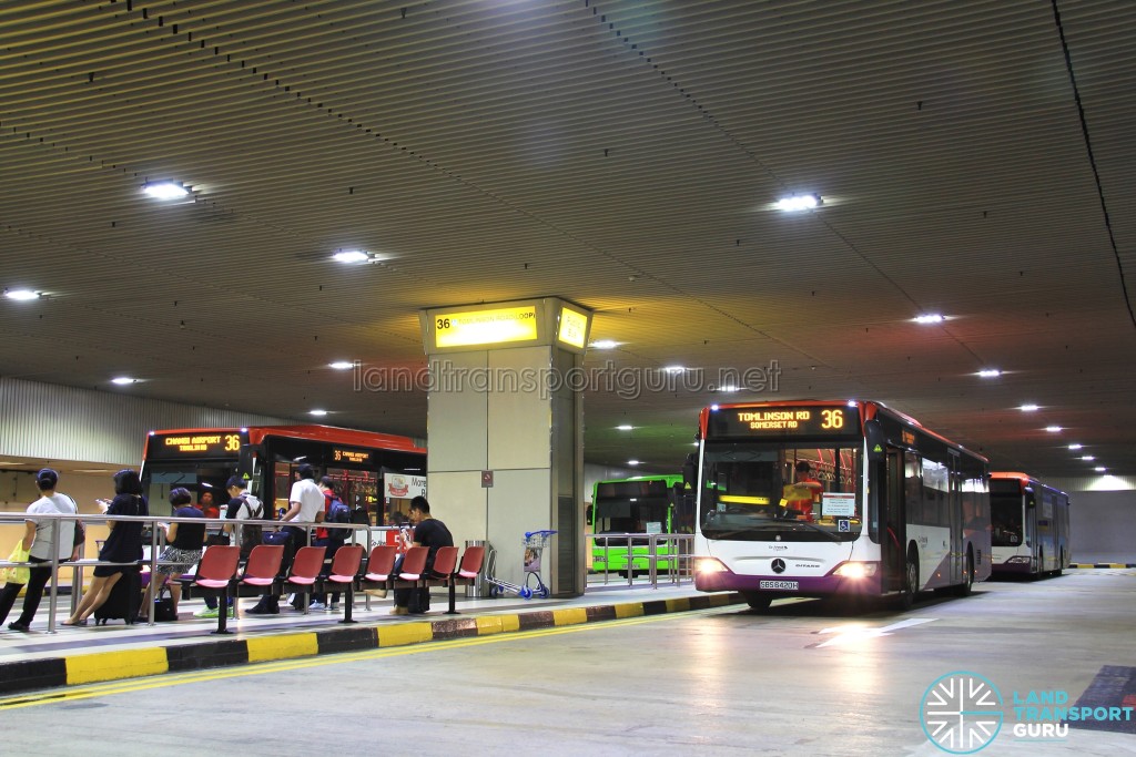 Go-Ahead buses at Changi Airport