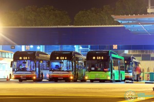 Tower Transit buses at Loyang Depot, operating Employee Bus Routes for Go-Ahead