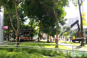 Workers arrive to clear trees from the scene