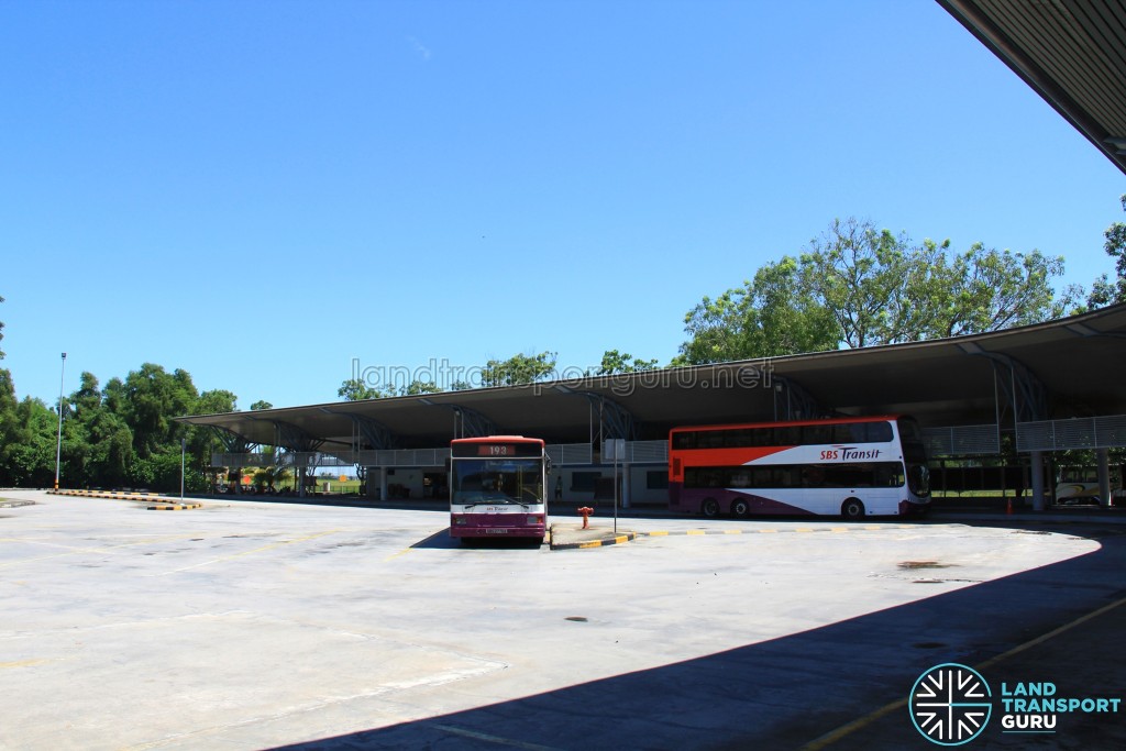 Tuas Bus Terminal - Vehicular Concourse