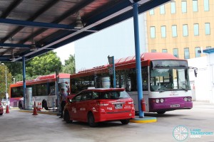 SBS Transit's CNG-powered Volvo B10BLE buses refuelling at Toh Tuck CNG Station