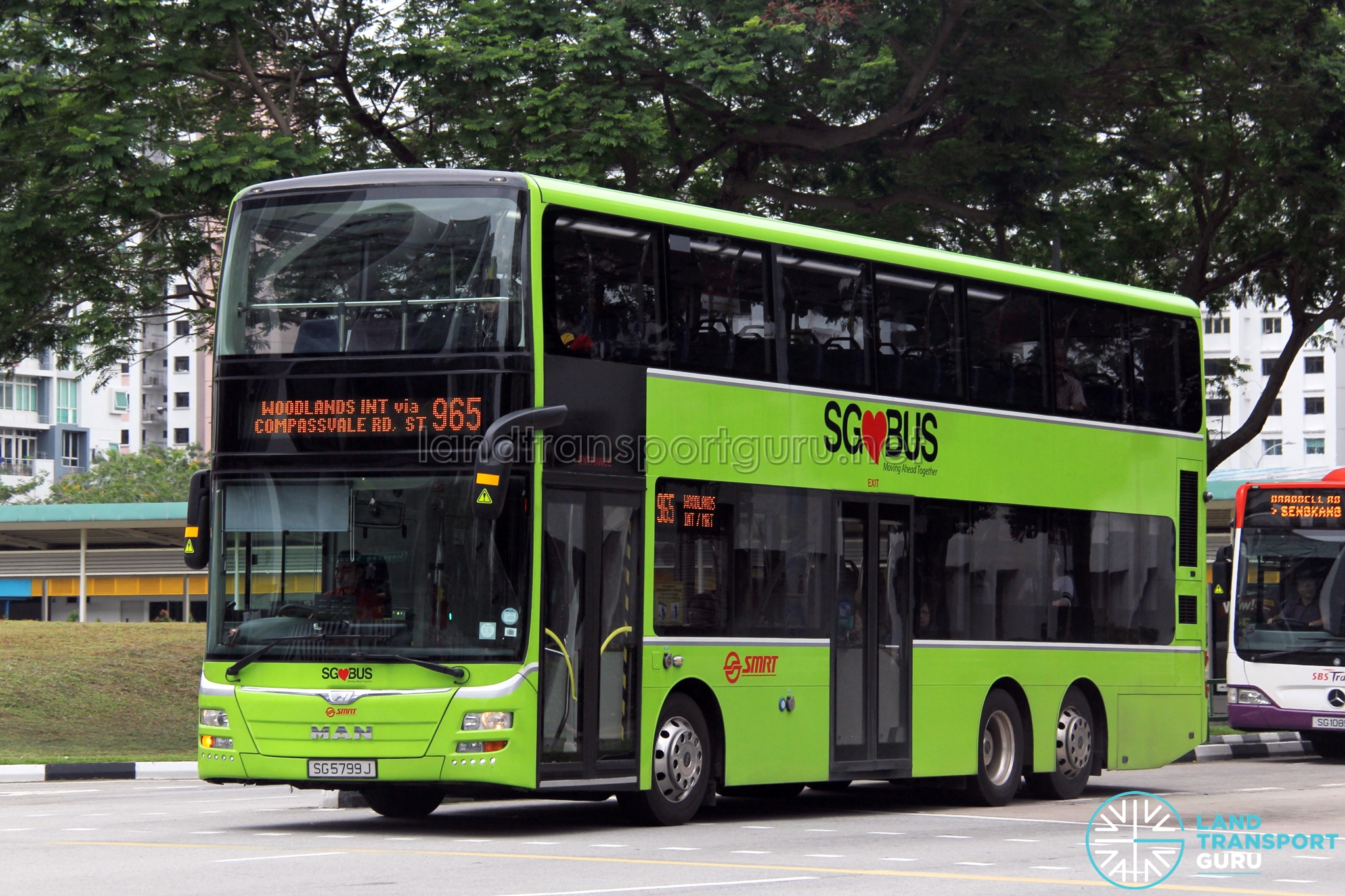 SMRT MAN A95 (SG5799J) – Service 965 | Land Transport Guru