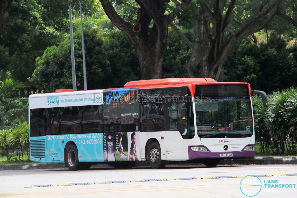 SBS Transit Mercedes-Benz Citaro (SBS6603Y), featuring two-thirds commercial advertising