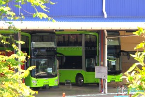 Gemilang Coachworks - Close-up of MAN A95 buses