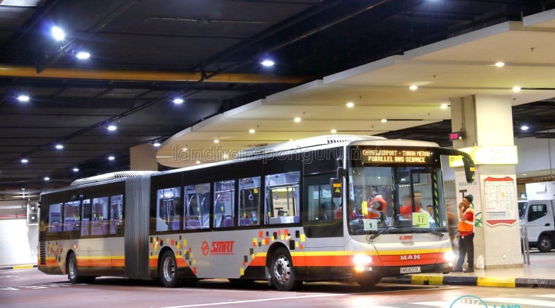 SMRT MAN NG363F A24 (SMB8009J): Tanah Merah – Changi Airport Parallel Bus Service (Direct)