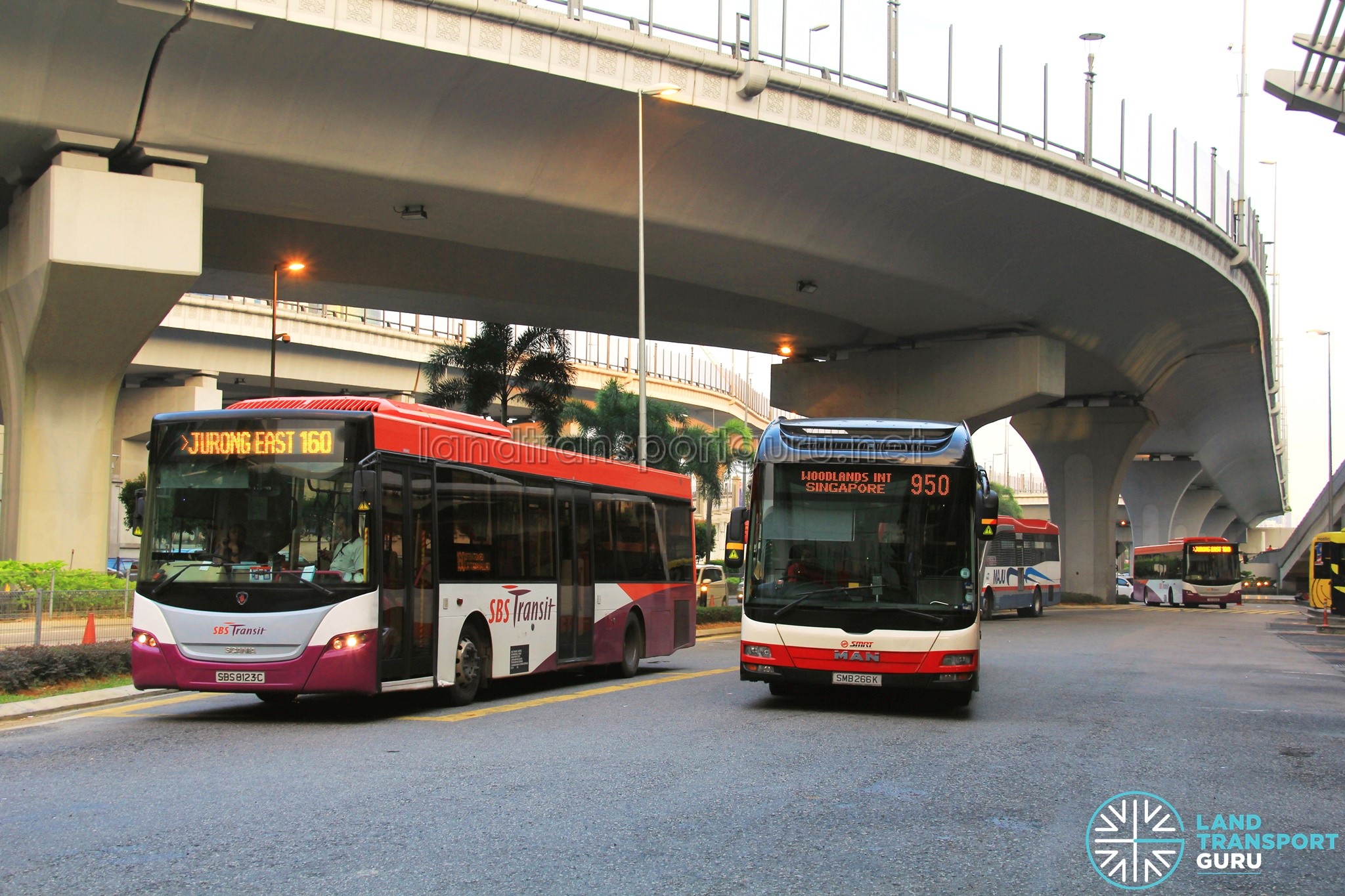 Singapore Buses at JB Sentral