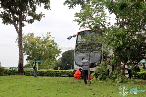 The bus came to a stop in a grass patch