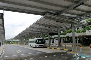 Changi Airport T4 Bus Stand