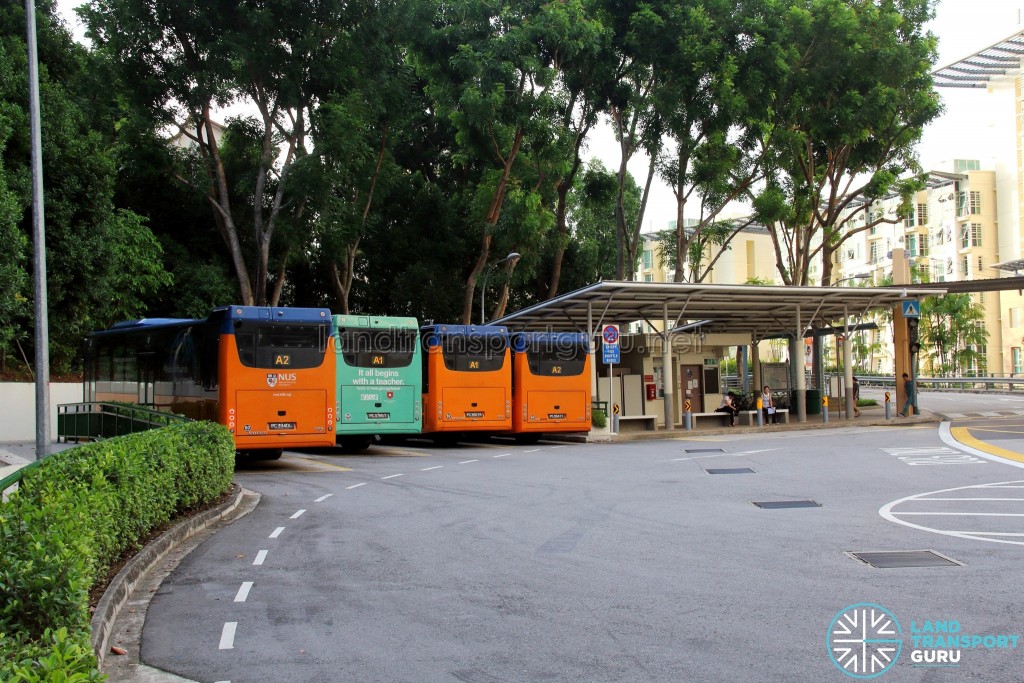 Prince George's Park Bus Terminal - Parking lots