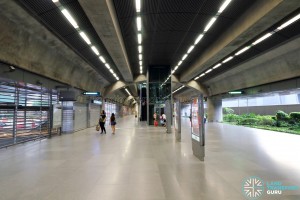 Expo MRT Station (EWL) - L1 paid area with paid link to DTL