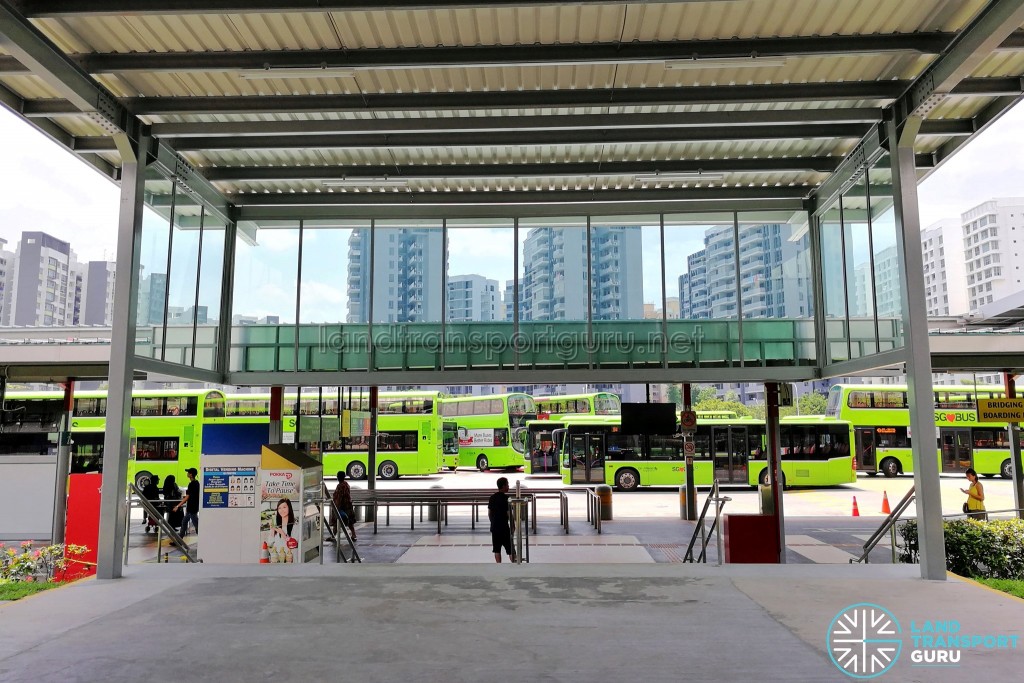 Punggol Bus Interchange: Linkway to Punggol MRT Station