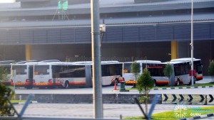 SBS Transit MAN A24 buses in Seletar Depot