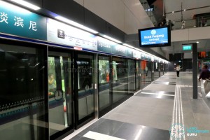 Tampines MRT Station - DTL Platform A
