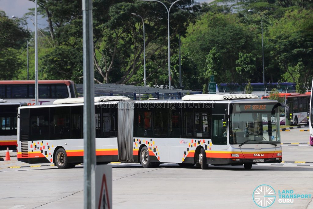 SBS Transit MAN NG363F A24 (SMB8004Y) - Training Bus