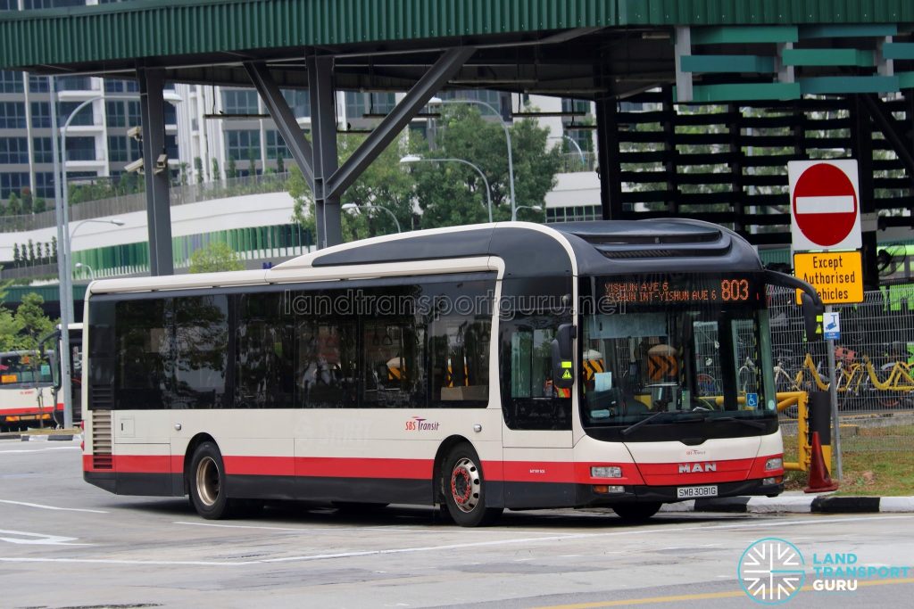 Service 803 - SBS Transit MAN A22 (SMB3081G)