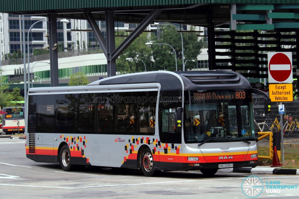 Service 803 - SBS Transit MAN A22 (SMB3085X)
