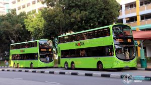 Service 811: Volvo B9TL buses (SG5049R & SG5124G)