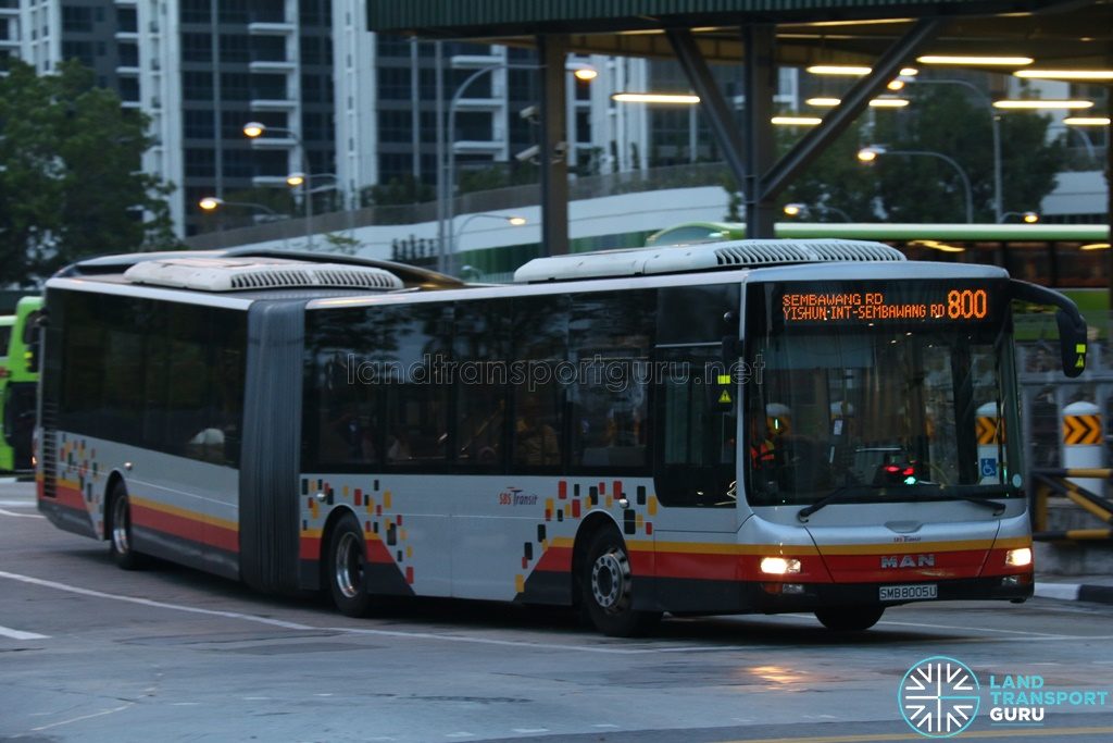 Service 800 - SBS Transit MAN A24 (SMB8005U)