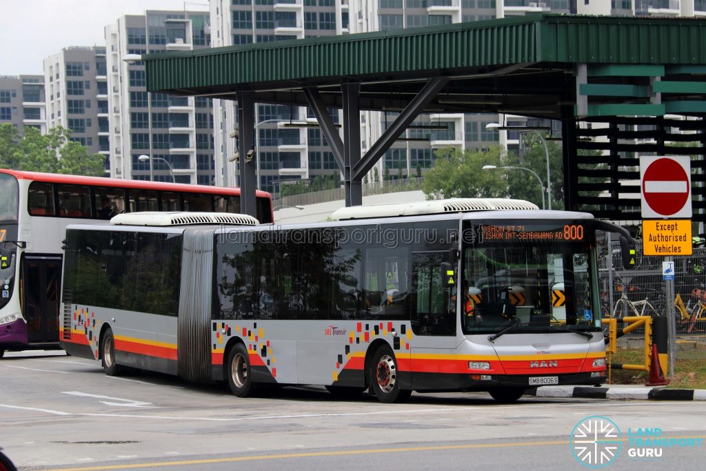 Service 800 - SBS Transit MAN A24 (SMB8006S)
