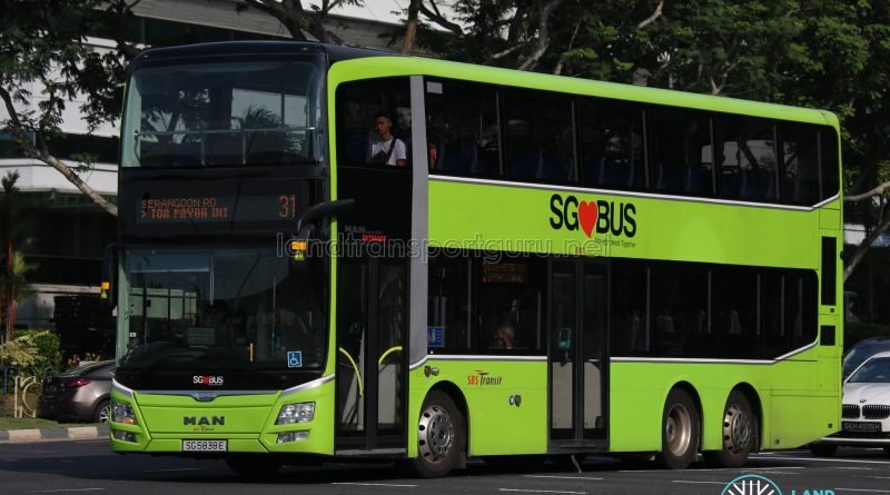 Service 31 - SBS Transit MAN A95 (SG5838E)