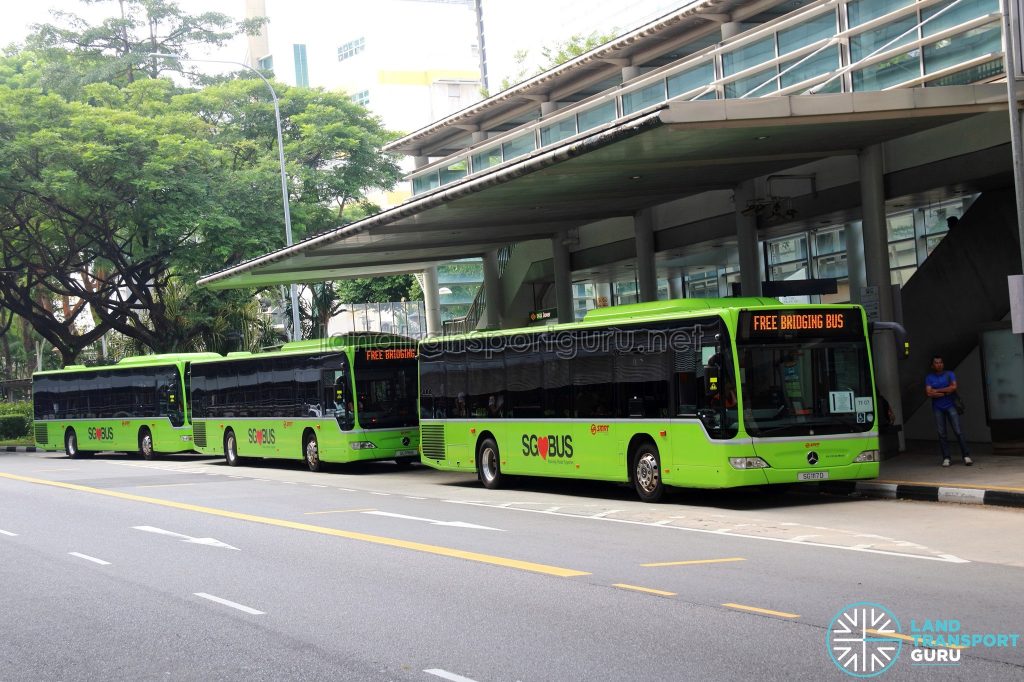 EWL Bridging Bus service operated by TF50 buses
