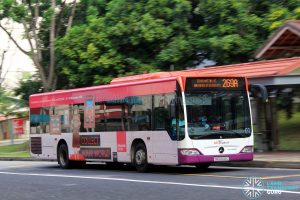Bus Service 269A - Mercedes-Benz Citaro (SBS6012C)
