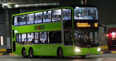 SBS Transit Bus Service 80 - MAN Lion's City DD A95 (SG6045U)