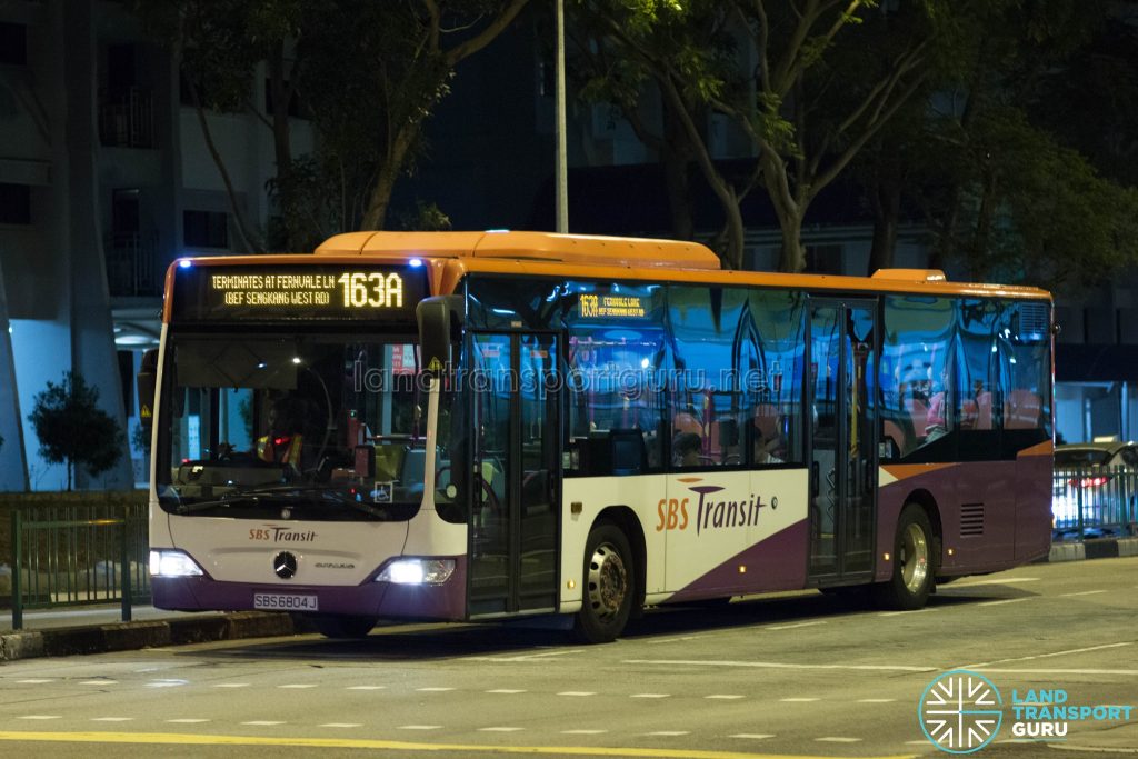 SBS Transit Bus Service 163A - Mercedes-Benz Citaro (SBS6804J)