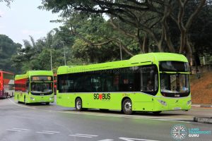 SBS Transit Bus Service 93 - Volvo B5LH (SG3026U) & (SG3040C)
