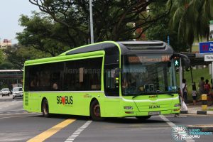 Bus 804 - SBS Transit MAN A22 (SMB3088M)