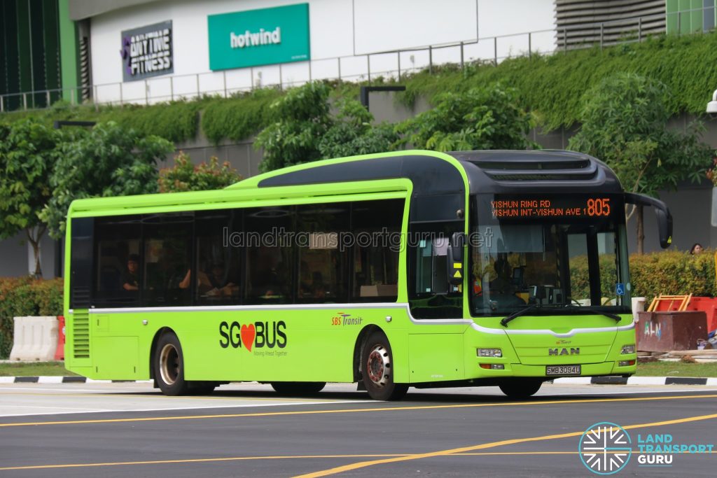 Bus 805 - SBS Transit MAN A22 (SMB3094U)