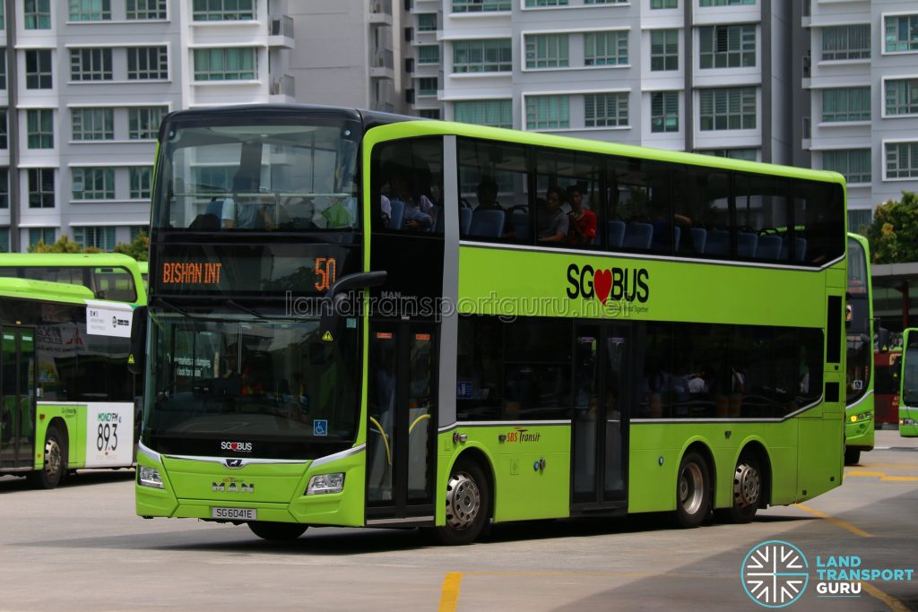 Bus 50: SBS Transit MAN Lion's City DD A95 (SG6041E)